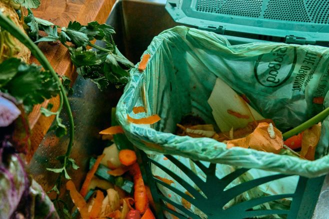 ♻️ Bioodpad Věděli jste, že správné třídění bioodpadu může výrazně zlepšit kvalitu životního prostředí? 🌍 A že běžném...