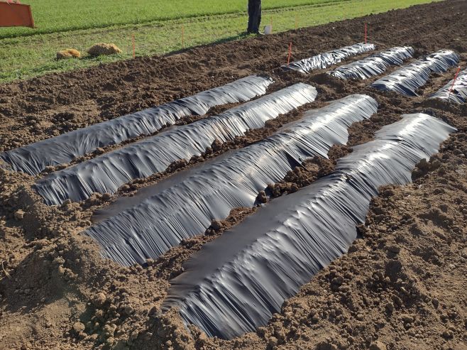 🌱 Spolupráce s ČZU v Praze přináší skvělé výsledky! 🥔💚 S radostí oznamujeme, že jsme navázali exkluzivní spolupráci s...